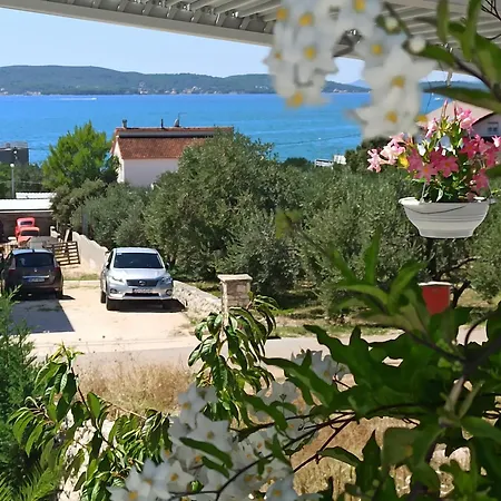 Lejlighed Adriaapart Vip *