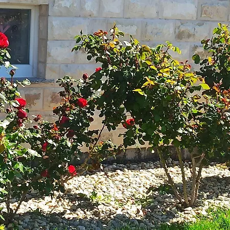 Adriaapart Vip Apartment *