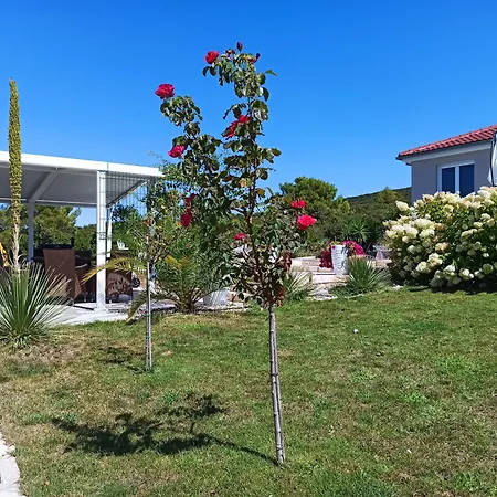 Adriaapart Vip Appartement