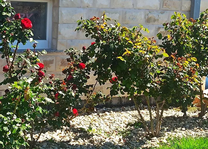 Adriaapart Vip Apartman *